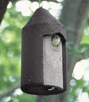 Kinsman Hanging Houses Schwegler 1 1/4" Free Hanging Birdhouse 3 Kinsman Hanging Houses Schwegler 1 1/4" Free Hanging Birdhouse