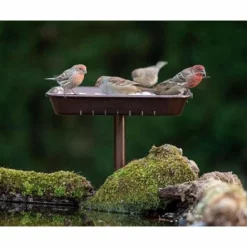 Stokes Select Hanging Feeders 3in1 Platform Bird Feeder