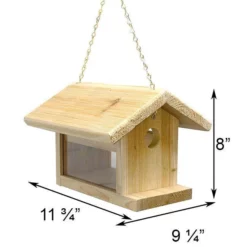 C&S Products Hanging Feeders Bluebird Feeder By C&S