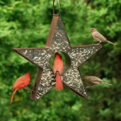 Good Directions Hanging Feeders Star Shaped Fly Through Bird Feeder