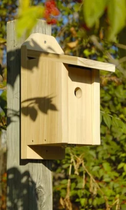 Heartwood Joy Box Chickadee House