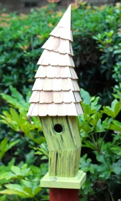 Post / Pole Mounted Houses Heartwood Birdiwampus Bird House, Citrus