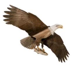 Kites Jackite American Bald Eagle Kite, 60" Wingspan