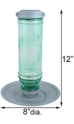 More Birds Vintage Bottle Bird Feeder Hanging Feeders