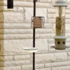 Panacea Products Wild Bird Feeding Station Kit, Black, 7'1"