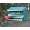 Heritage Farms Hanging Feeders Absolute Bird Feeder With Pole And Hanger