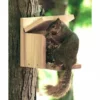 Woodlink Audubon Cedar Squirrel Munch Box Squirrels 1 Woodlink Audubon Cedar Squirrel Munch Box Squirrels