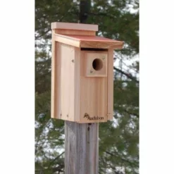 Woodlink Audubon Coppertop Bluebird House