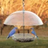 Woodlink Audubon Domed Wild Bird Feeder Hanging Feeders