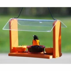 Woodlink Hanging Feeders Audubon Recycled Plastic Oriole And Bluebird Feeder