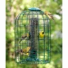 Woodlink Cage Feeders Audubon Squirrel-Resistant Caged Tube Bird Feeder