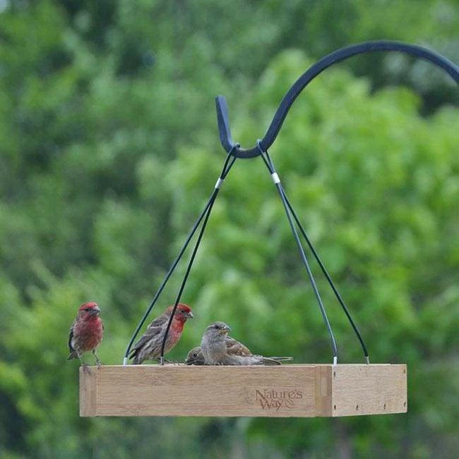 Nature's Way Bamboo Tray Bird Feeder Hanging Feeders 5 Nature's Way Bamboo Tray Bird Feeder Hanging Feeders