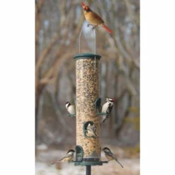 Aspects Hanging Feeders Big Tube Spruce Wild Bird Feeder