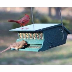 Heritage Farms Hanging Feeders Bird's Choice Squirrel Proof Mottled Green Bird Feeder