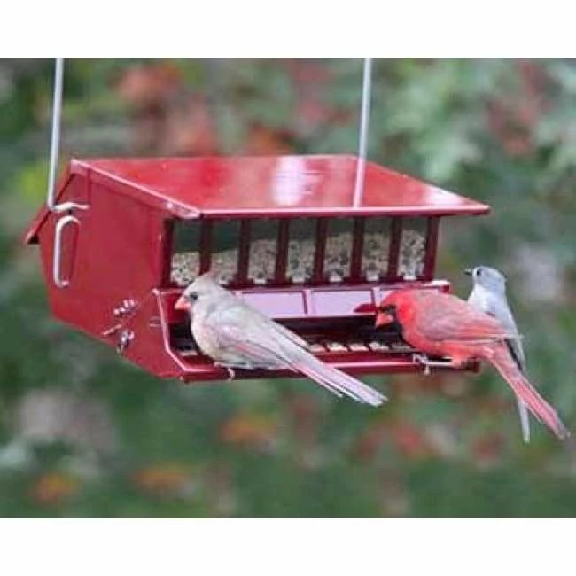 Heritage Farms Hanging Feeders Bird's Choice Squirrel Proof Red Bird Feeder 3 Heritage Farms Hanging Feeders Bird's Choice Squirrel Proof Red Bird Feeder