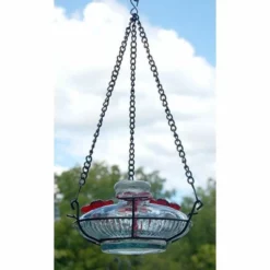 Parasol Bloom Hummingbird Feeder With Perch, Clear Hummingbird Feeders