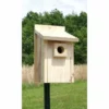 Post / Pole Mounted Houses Bluebird House From Stokes Select