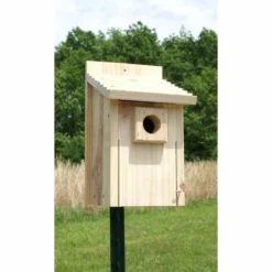 Post / Pole Mounted Houses Bluebird House From Stokes Select