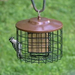 Stokes Select Cage Feeders Caged Double Suet Feeder, Brown