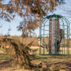 Esschert Design Cage Feeders Caged Tube Bird Feeder