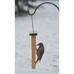 Nature's Way Cedar Suet Feeder With Tail Prop