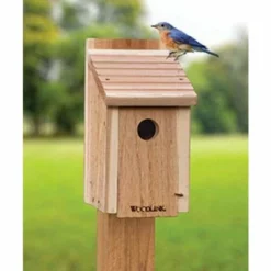 Woodlink Post / Pole Mounted Houses Classic Bluebird House DIY Craft Kit