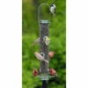Droll Yankees A-6 Bird Feeder