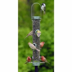 Droll Yankees A-6 Bird Feeder