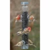 Droll Yankees A-6 Ring Pull Bird Feeder 1 Droll Yankees A-6 Ring Pull Bird Feeder
