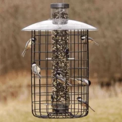 Droll Yankees B-7 Domed Cage And Squirrel Proof Bird Feeder Cage Feeders