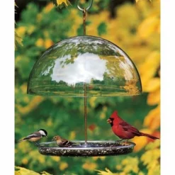Droll Yankees Dorothy's Cardinal Feeder