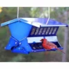 Heritage Farms Double Sided Absolute II Electric Blue Bird Feeder