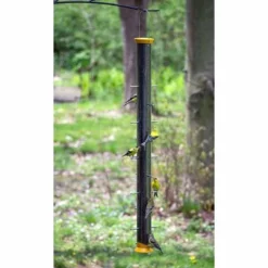 Droll Yankees New Generation 36