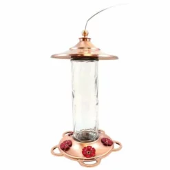 More Birds Glory Hummingbird Feeder Hummingbird Feeders