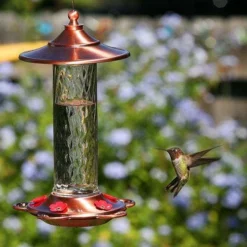 More Birds Glory Hummingbird Feeder Hummingbird Feeders 7 More Birds Glory Hummingbird Feeder Hummingbird Feeders