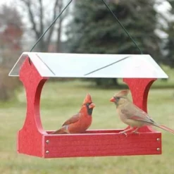 Woodlink Hanging Feeders Going Green Fly Through Bird Feeder, Red