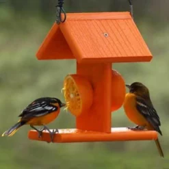 Woodlink Going Green Recycled Plastic Oriole Fruit Feeder Hanging Feeders
