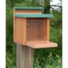Woodlink Squirrels Going Green Squirrel Munch Box