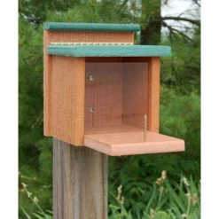 Woodlink Squirrels Going Green Squirrel Munch Box
