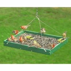 Songbird Essentials Hanging Platform Green Bird Feeder, Large Hanging Feeders