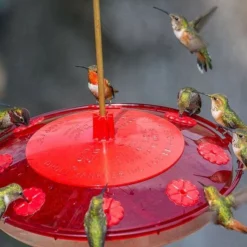 Droll Yankees Happy Eight-2 Hummingbird Feeder Hummingbird Feeders