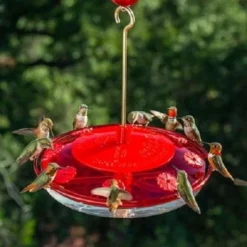 Droll Yankees Happy Eight-2 Hummingbird Feeder Hummingbird Feeders
