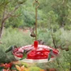Droll Yankees Happy Eight-2 Hummingbird Feeder Hummingbird Feeders
