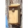 Woodlink Kestrel And Screech Owl House