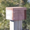 Looker Products Post Cap Bird House Accessories