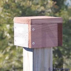 Looker Products Post Cap Bird House Accessories