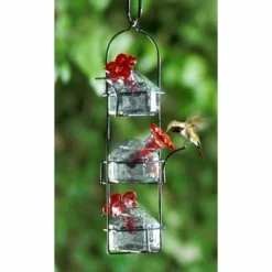 Parasol Hummingbird Feeders Lunch Pail Clear Hummingbird Feeder