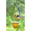 Parasol Mandarin Recycled Glass Oriole Feeder, Medium Hanging Feeders 1 Parasol Mandarin Recycled Glass Oriole Feeder, Medium Hanging Feeders
