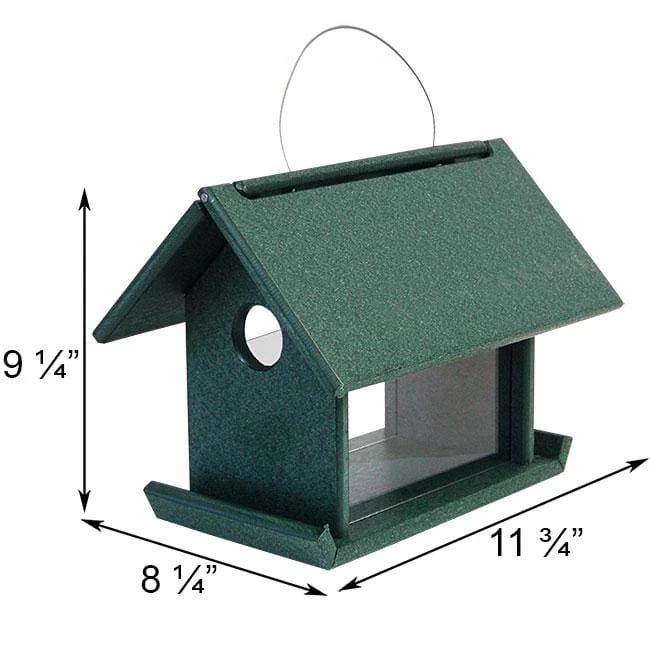 Songbird Essentials Mealworm Bird Feeder, Hunter Green 4 Songbird Essentials Mealworm Bird Feeder, Hunter Green