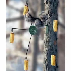 Belle Fleur Squirrels Medallion Squirrel-Go-Round